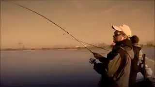 Ловля судака на джиг с берега zander fishing