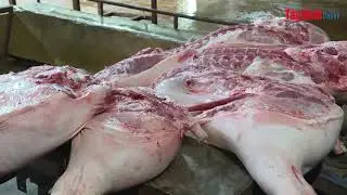 Sở Nông nghiệp và Phát triển nông thôn kiểm tra đột xuất 2 cơ sở giết mổ heo