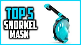 ✅Top 5 Best Snorkel Mask in 2024