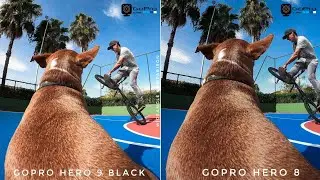 GoPro Hero 9 Black VS GoPro Hero 8 FOOTAGE COMPARISON | 5K VS 4K ACTION!