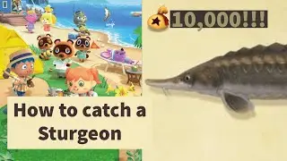 How to catch a Sturgeon! - Animal Crossing: New Horizons