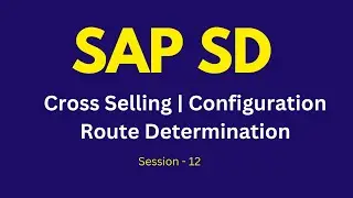 SAP SD Cross Selling Tutorial | Condition Techniques | Configuration | Route Determination Tutorial