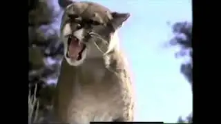 Disney's Homeward Bound: The Incredible Journey TV Spot (1993) (low quality)