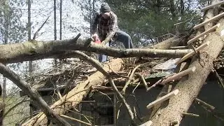 DANGEROUS TREE REMOVAL ......... storm damage trees on a cabin roof