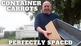 Grow Container Carrots Perfectly Spaced