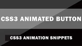 CSS3 Animated Button | CSS3 Animation Snippets