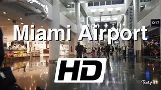 【4K】Miami International Airport - Concourse D