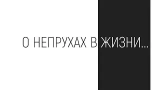 Серия №2 Остальное в ЯНДЕХ - ДЗЕН