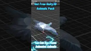 Unity3D Free Assets - Animals Pack. 100+ Unity Assets Giveaway. Pigeon. 