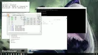 How to setup Home Web Server - Windows