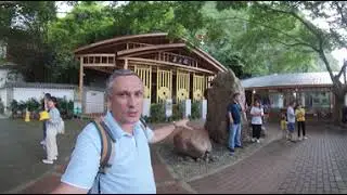 China 360. Silver cave in Yangshuo. The Chinese made a fairy tale in the common cave