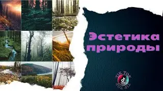 Дикая природа / Величественная природа из ТИК ТОК