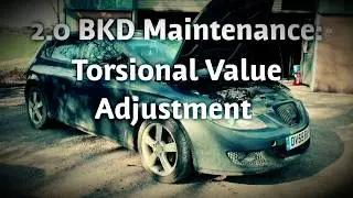 The Dead Leon EP2 - Torsional Value adjustment & some general maintenance 2.0 TDi BKD