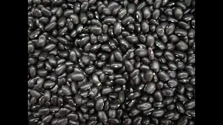 Black Beans 101 - How to Prepare Dried Black Beans