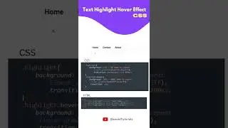 Text highlight hover effect | CSS Animation | CSS Tutorial