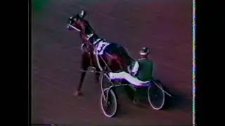 1984 Meadowlands - Witsends Wizard & Ron Waples