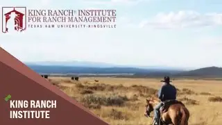 King Ranch® Institute for Ranch Management | Texas Farm Credit