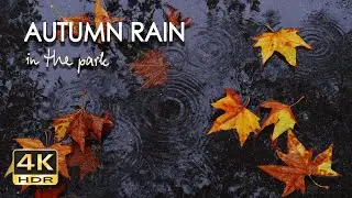 4K HDR Autumn Rain in the Park - 10 h Gentle Rain Sounds - Raindrops Fall on Pavement - Relax/ Sleep