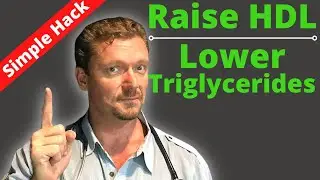 How to Raise Your HDL & Lower Your Triglycerides (NOT what you Think)