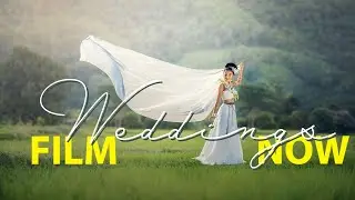 WHY & HOW to START a WEDDING Videography Business!