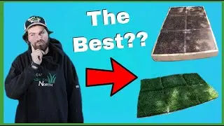 Which Grass Seed Is The Best? | Test Plot Update