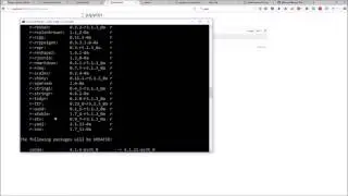 Install R Kernal / Create R workbook in Jupyter