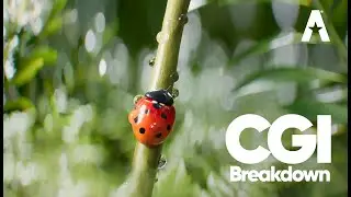 CGI - Ladybug comp Breakdown