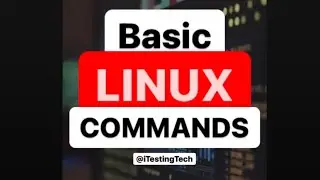 Basic Linux Commands Every Programmer Should Know 