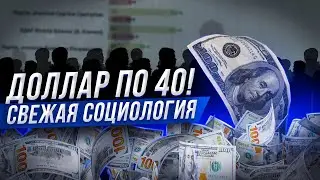 Банкиры насмехаются. Курс доллара улетел! | Украина, социология, новости