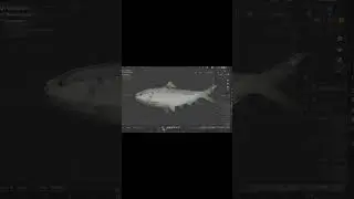 Quickest Way to Model and Animate a Fish from just one picture