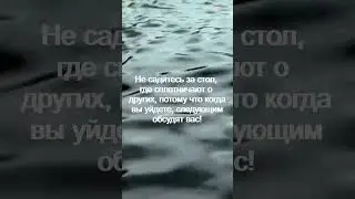 Не садитесь за стол, где сплетничают