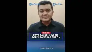 8 Tahun Jadi Buron Vina, Analis Pakar Psikologi Forensik Soal Misteri Pegi Perong