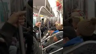 NYC Train Fight