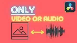 Add ONLY Video to Timeline: DaVinci Resolve (Without audio)