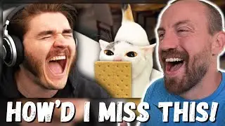 HOWD I MISS THIS!?! Schlatt Ranking Your HILARIOUS Tiktoks (REACTION!) jschlattLIVE