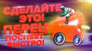 СДЕЛАЙТЕ ЭТО! ПЕРЕЦ ПОСПЕЕТ БЫСТРО! ПОЧЕМУ СЛАДКИЙ ПЕРЕЦ СТАЛ ГОРЬКИМ?