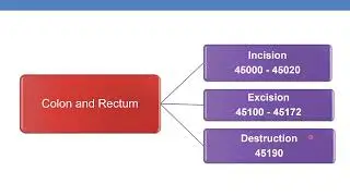 2023 CPT CODING GUIDELINES FOR SURGERY DIGESTIVE SYSTEM Part 11A