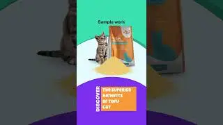 Fun Instagram Video Ad