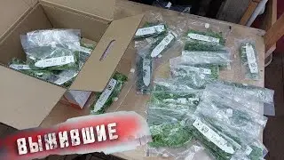 🌱И вот так тоже бывает...получили евро не укор. Страшно. Но интересно.