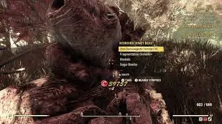 Fallout 76 Kill A Honey Beast