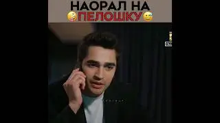 Ферит наорал на Пелин 🤣 Зимородок - Yali Capkini | 