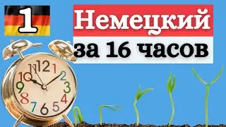 НЕМЕЦКИЙ ЗА 16 ЧАСОВ - урок 1 - спряжение глаголов