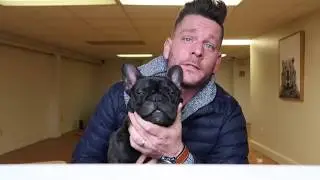 a quick intro for my new DOG show