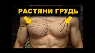 КАК РАСТЯНУТЬ ГРУДЬ? (РАСТЯЖЕНИЕ ГРУДНОЙ МЫШЦЫ)