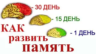 Как быстро улучшить память? Унай, как запоминать больше | Я знаю