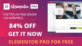 Elementor PRO v3.4.2 ....85% OFF.