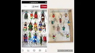 Pinterest 30 day Challenge (Day 17 Bugs)