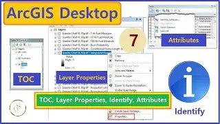ArcGIS: Table of Contents TOC, Layer Properties, Identify & Attributes | 7 | 
