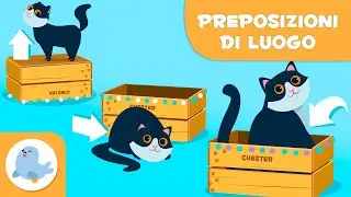 Preposizioni di luogo - Concetti topologici per bambini - Dove sono le cose?