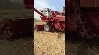 Комбайн Нива молотит сою!